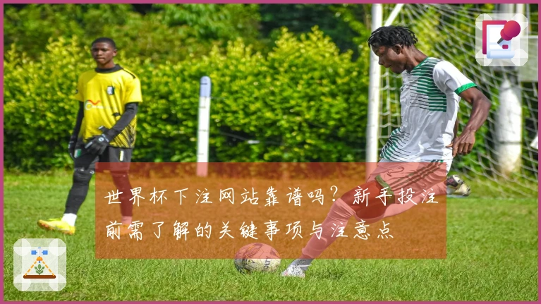 世界杯下注网站靠谱吗？新手投注前需了解的关键事项与注意点