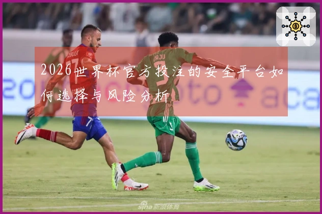 2026世界杯官方投注的安全平台如何选择与风险分析