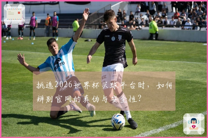 挑选2026世界杯买球平台时，如何辨别官网的真伪与安全性？
