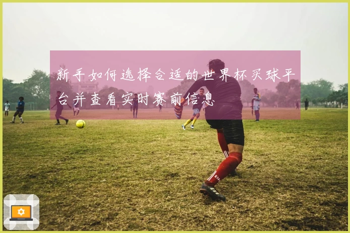 新手如何选择合适的世界杯买球平台并查看实时赛前信息