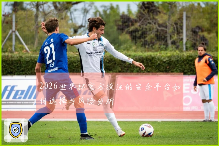 2026世界杯官方投注的安全平台如何选择与风险分析