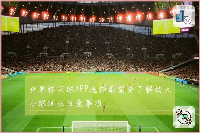 世界杯买球APP选择前需要了解的大小球玩法注意事项