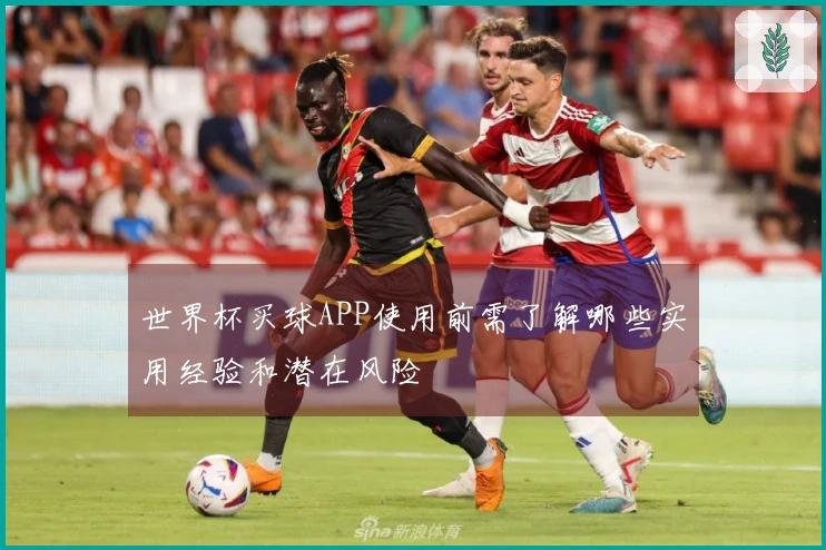 世界杯买球APP使用前需了解哪些实用经验和潜在风险
