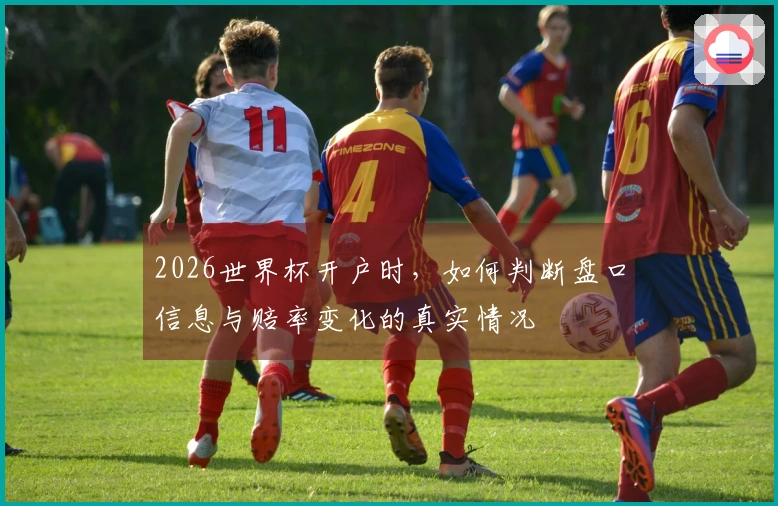 2026世界杯开户时，如何判断盘口信息与赔率变化的真实情况