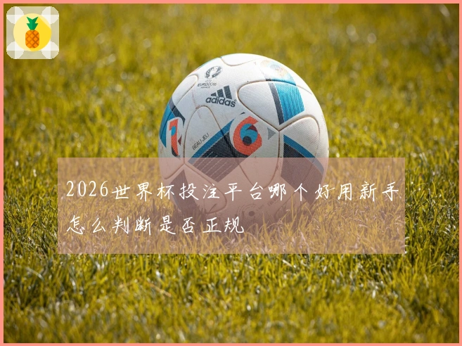 2026世界杯投注平台哪个好用新手怎么判断是否正规