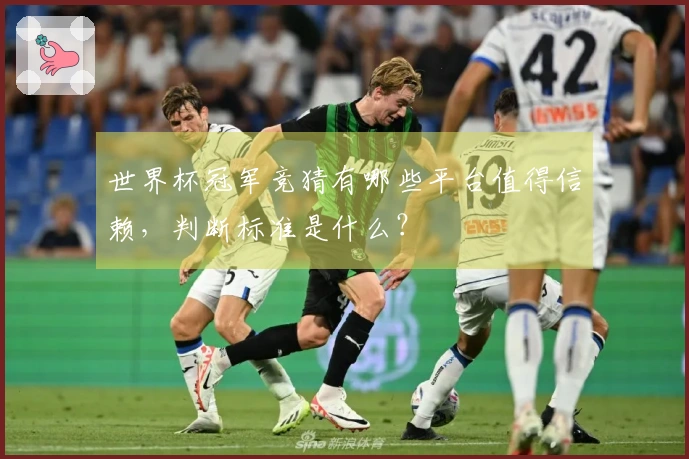 世界杯冠军竞猜有哪些平台值得信赖，判断标准是什么？