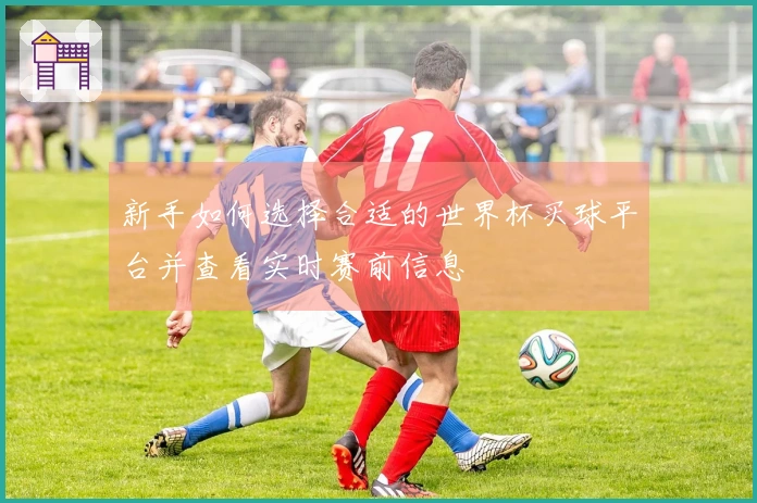 新手如何选择合适的世界杯买球平台并查看实时赛前信息