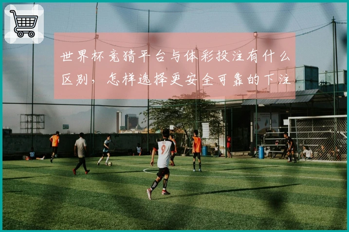 世界杯竞猜平台与体彩投注有什么区别，怎样选择更安全可靠的下注方式？