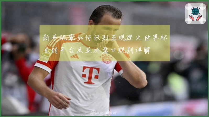 新手玩家如何识别正规烽火世界杯竞猜平台及亚洲盘口规则详解