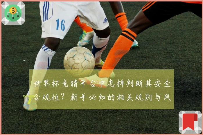 世界杯竞猜平台中怎样判断其安全合规性？新手必知的相关规则与风险提示
