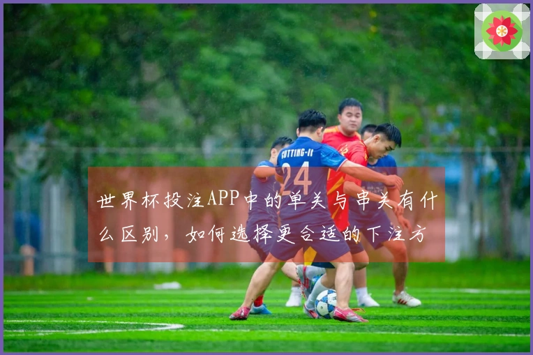 世界杯投注APP中的单关与串关有什么区别，如何选择更合适的下注方式？
