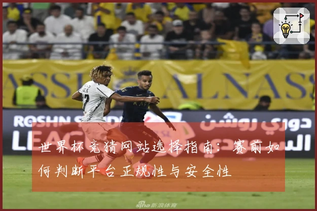 世界杯竞猜网站选择指南：赛前如何判断平台正规性与安全性