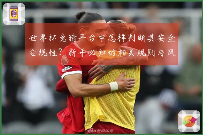 世界杯竞猜平台中怎样判断其安全合规性？新手必知的相关规则与风险提示
