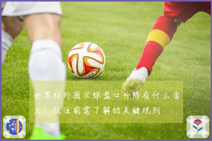 世界杯外围买球盘口升降有什么含义？投注前需了解的关键规则