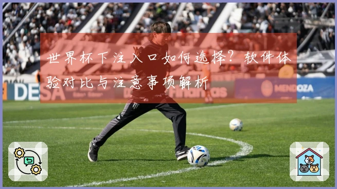 世界杯下注入口如何选择？软件体验对比与注意事项解析
