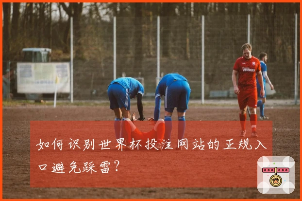 如何识别世界杯投注网站的正规入口避免踩雷？