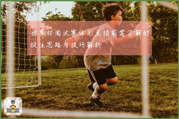 世界杯淘汰赛体彩竞猜前需了解的投注思路与技巧解析