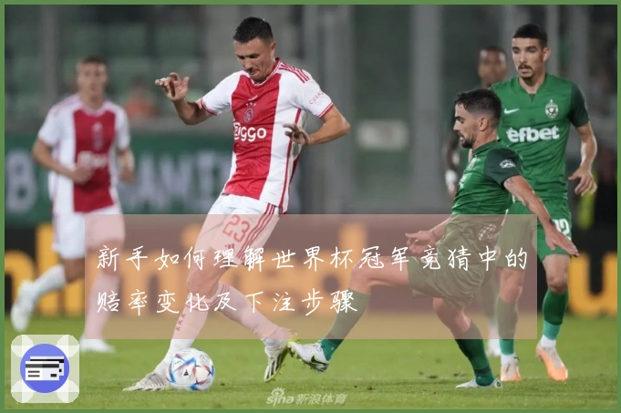 新手如何理解世界杯冠军竞猜中的赔率变化及下注步骤