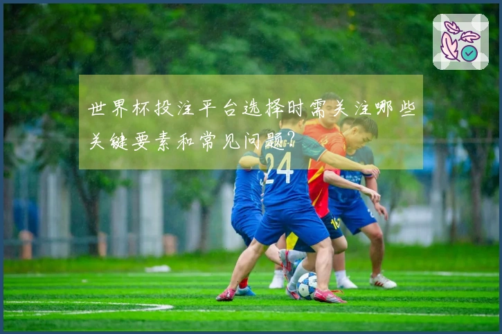 世界杯投注平台选择时需关注哪些关键要素和常见问题？