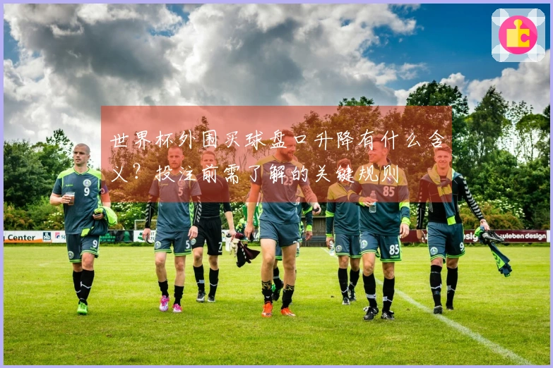 世界杯外围买球盘口升降有什么含义？投注前需了解的关键规则