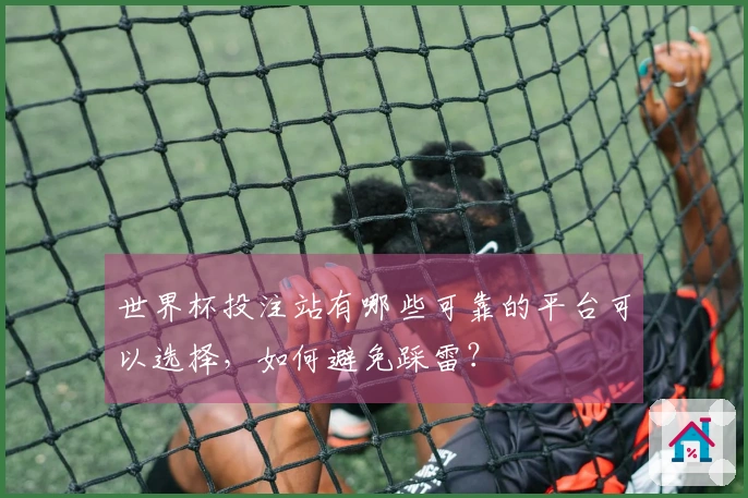 世界杯投注站有哪些可靠的平台可以选择，如何避免踩雷？