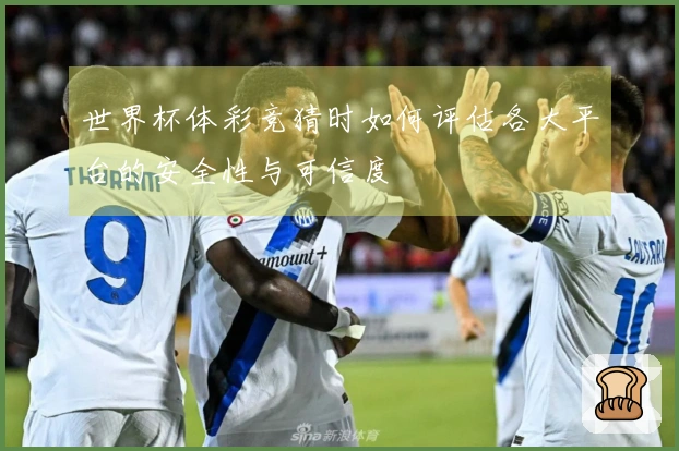 世界杯体彩竞猜时如何评估各大平台的安全性与可信度