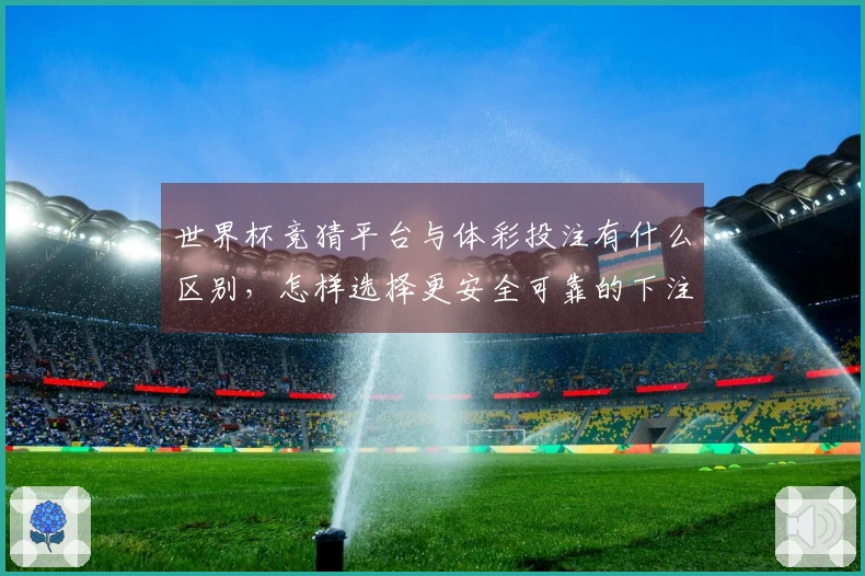 世界杯竞猜平台与体彩投注有什么区别，怎样选择更安全可靠的下注方式？