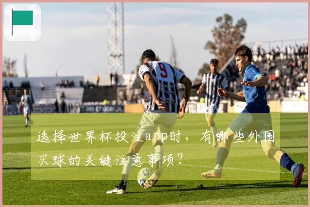 选择世界杯投注app时，有哪些外围买球的关键注意事项？
