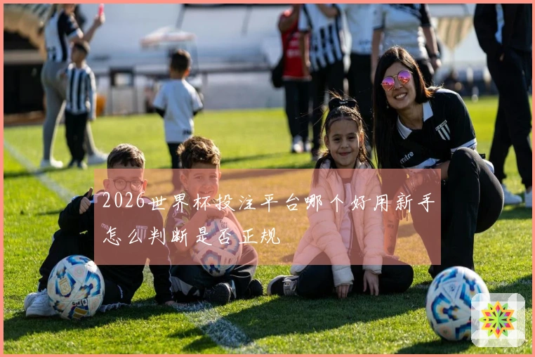 2026世界杯投注平台哪个好用新手怎么判断是否正规