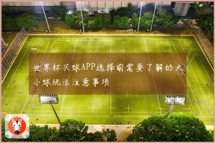世界杯买球APP选择前需要了解的大小球玩法注意事项