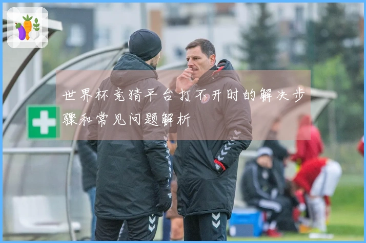 世界杯竞猜平台打不开时的解决步骤和常见问题解析