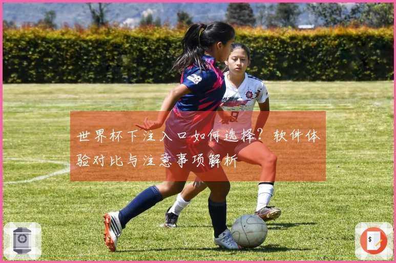 世界杯下注入口如何选择？软件体验对比与注意事项解析