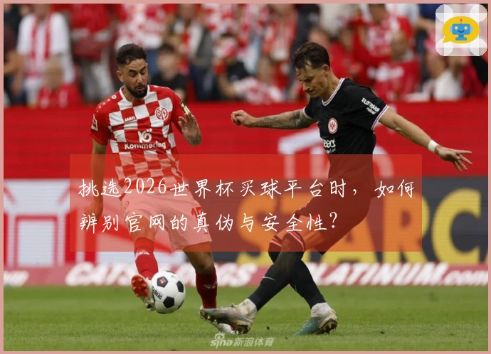 挑选2026世界杯买球平台时，如何辨别官网的真伪与安全性？